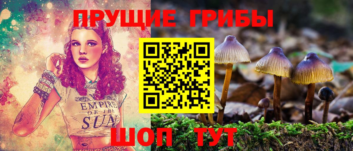 Галлюциногенные грибы Cubensis  хочу наркоту  Ростов-на-Дону  Вход с VPN 